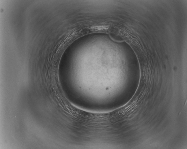 X0000067521393200604071309