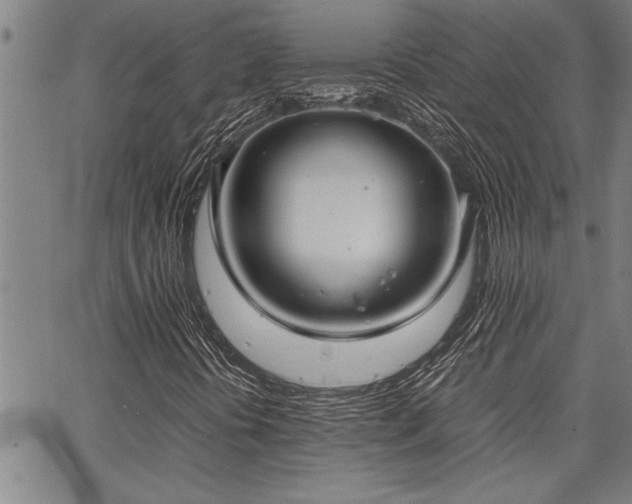 X0000067521394200604071309