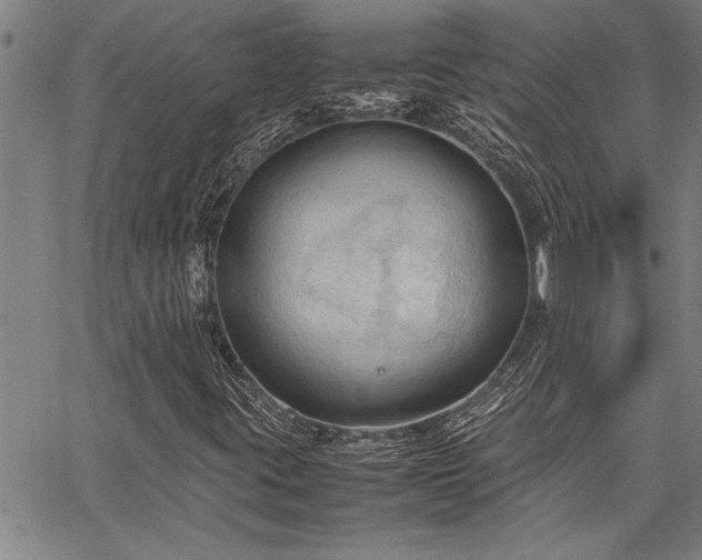 X0000067521395200604071309