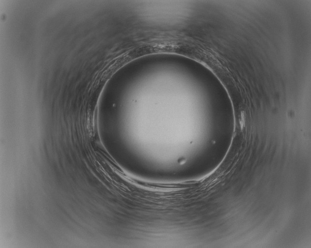 X0000067521396200604071309