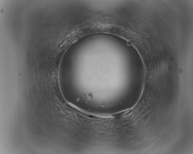 X0000067521397200604071309