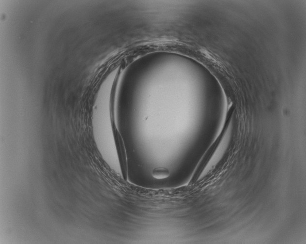 X0000067521398200604071309