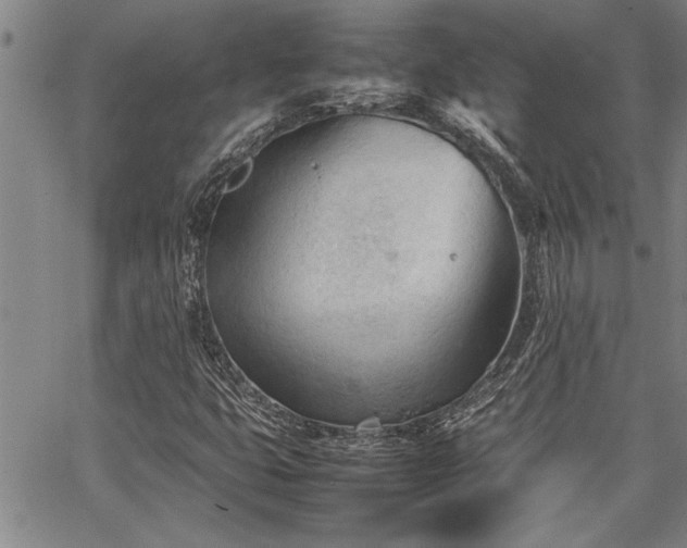 X0000067521399200604071309