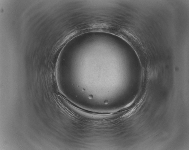 X0000067521401200604071309