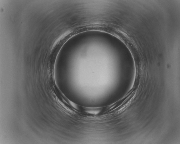 X0000067521402200604071309