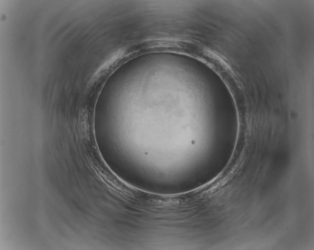 X0000067521403200604071310