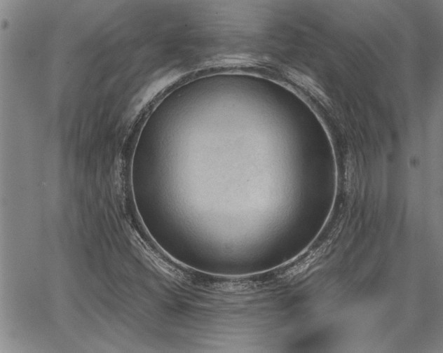 X0000067521404200604071310