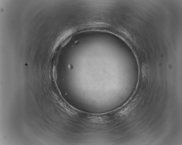 X0000067521405200604071310