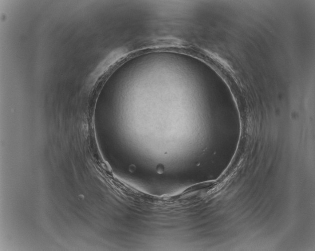 X0000067521407200604071310