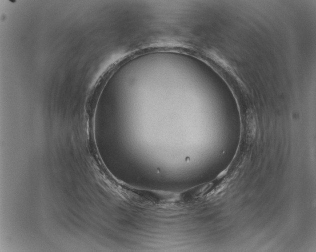 X0000067521408200604071310