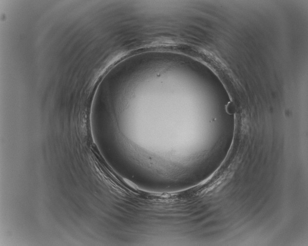 X0000067521409200604071310