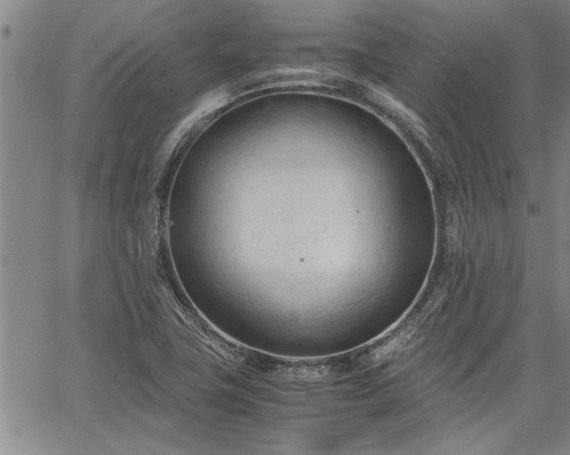 X0000067521411200604071310