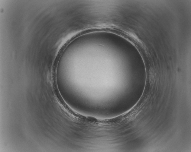 X0000067521412200604071310