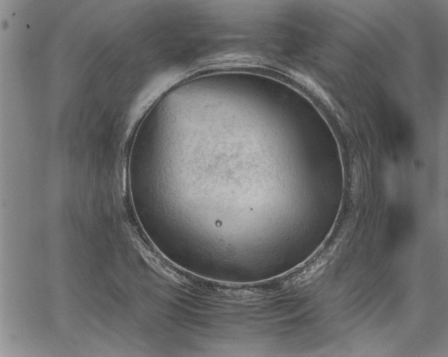 X0000067521413200604071310