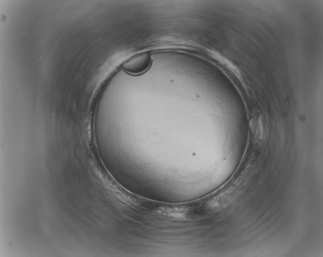 X0000067521415200604071310