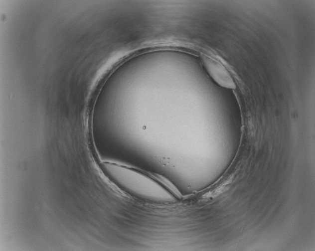 X0000067521416200604071310