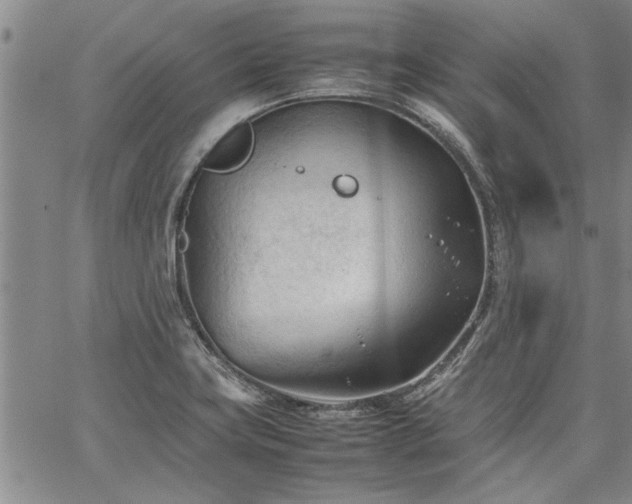 X0000067521419200604071310