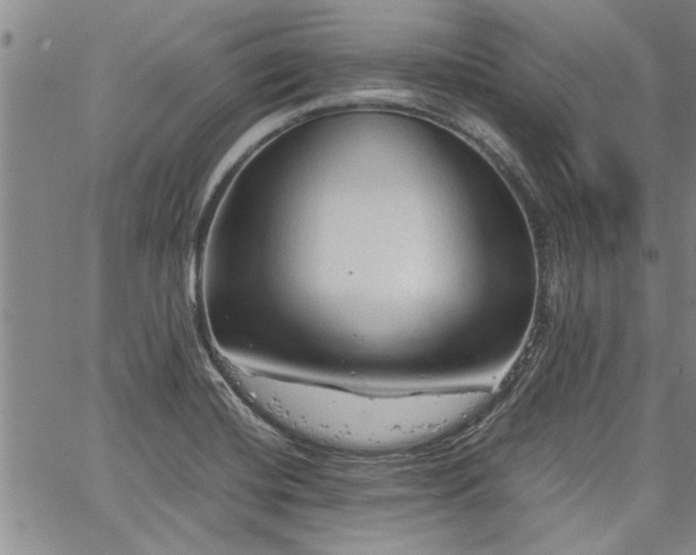 X0000067521420200604071310