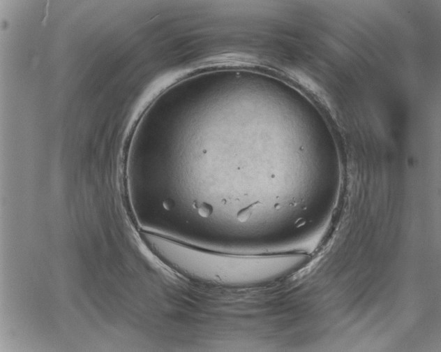 X0000067521421200604071310