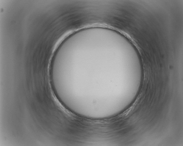 X0000067521422200604071310