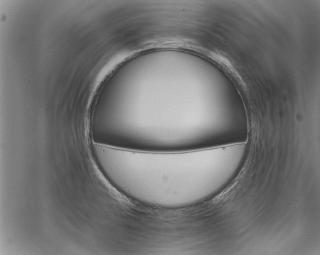 X0000067521424200604071310