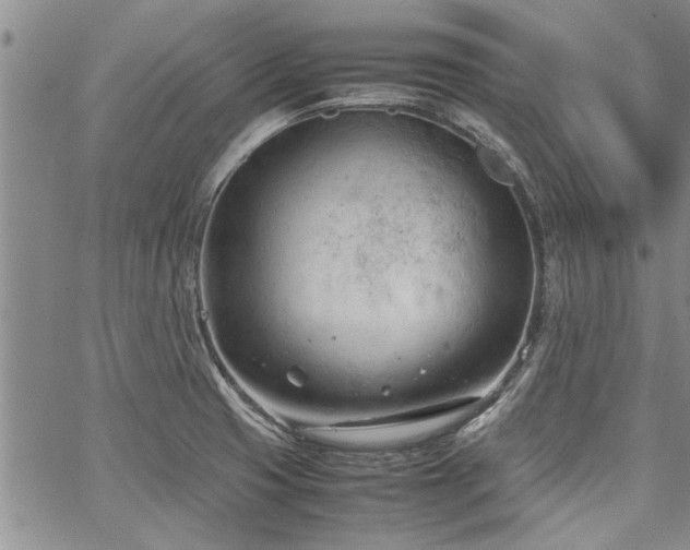 X0000067521425200604071310