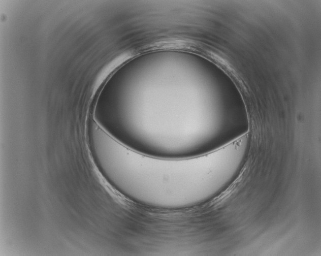 X0000067521426200604071310