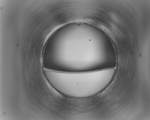 X0000067521428200604071310