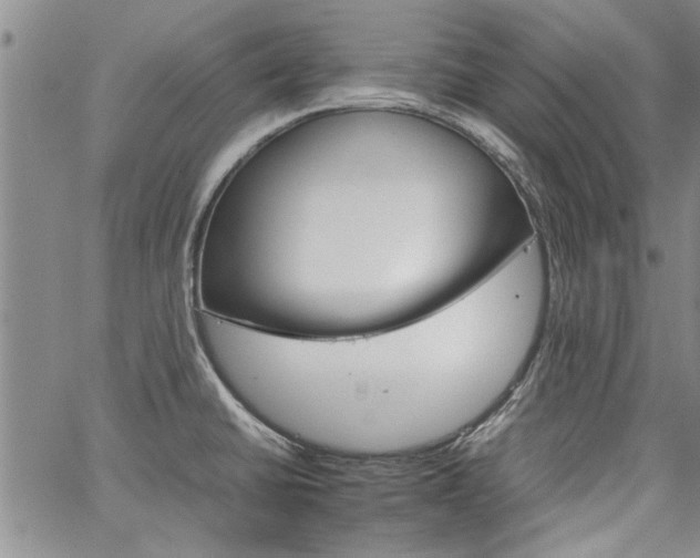 X0000067521430200604071310