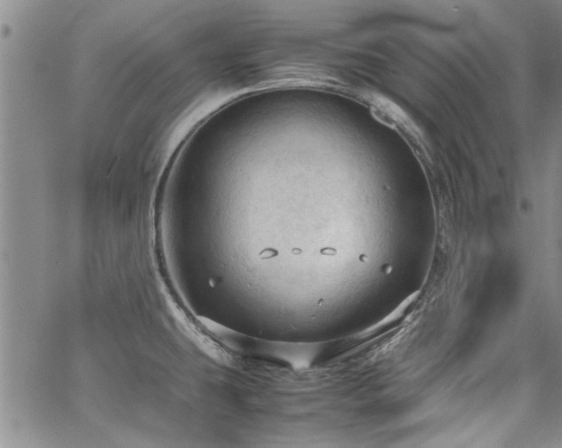 X0000067521431200604071310