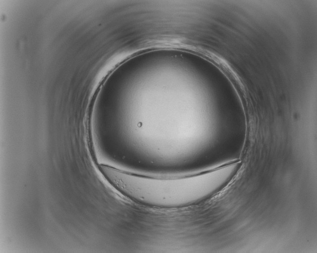 X0000067521432200604071310