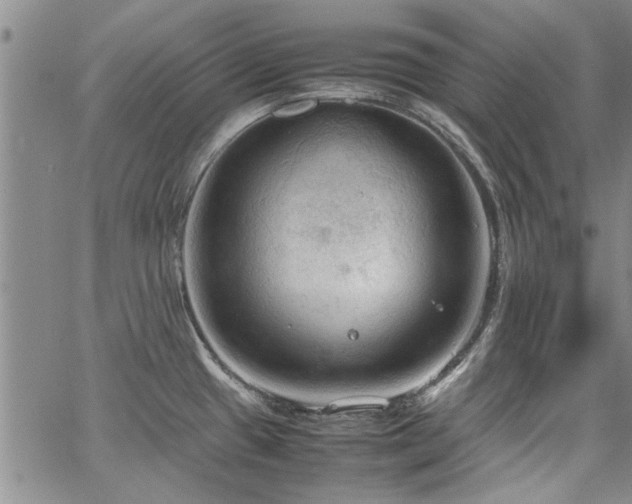 X0000067521433200604071310