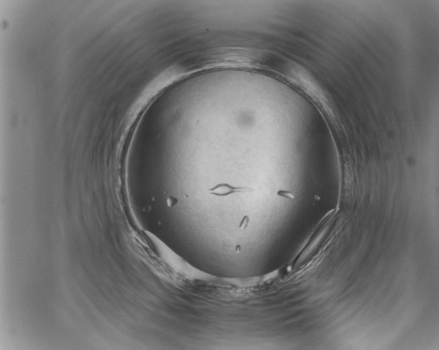 X0000067521435200604071310