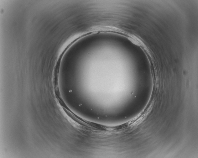 X0000067521438200604071310