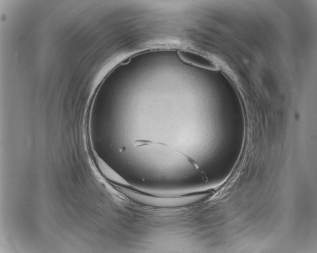 X0000067521440200604071310