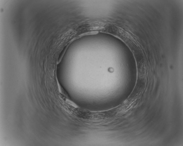 X0000067521441200604071309