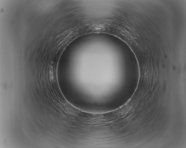 X0000067521442200604071309