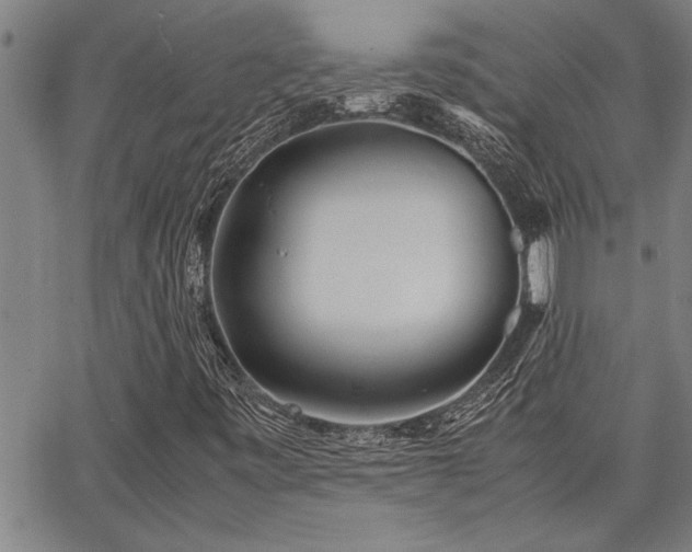 X0000067521443200604071309