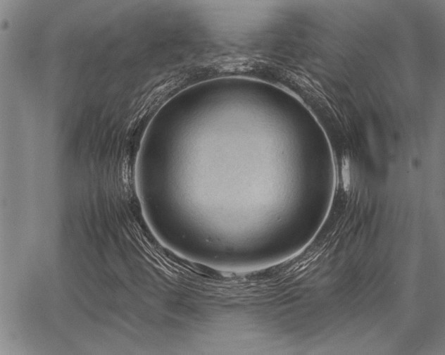 X0000067521444200604071309