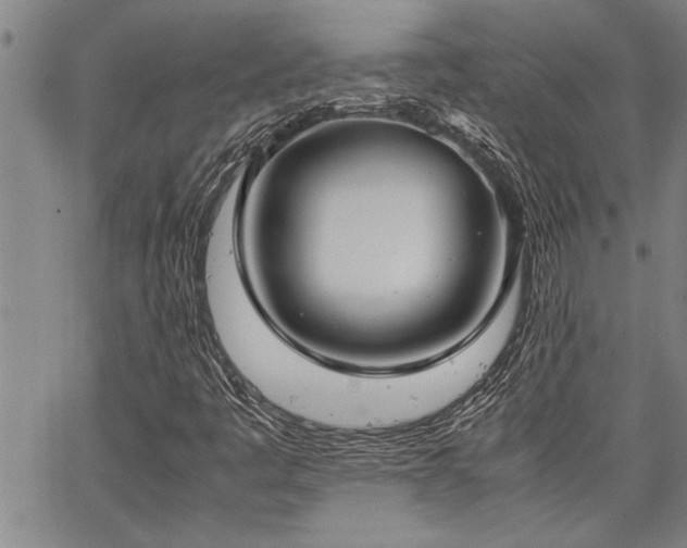 X0000067521445200604071309