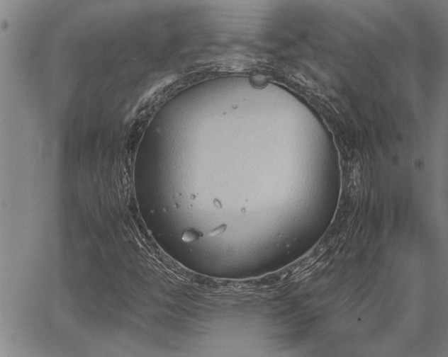 X0000067521446200604071309