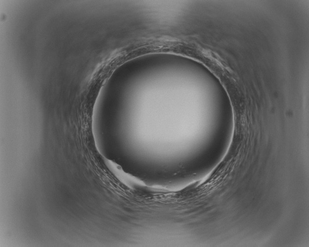 X0000067521447200604071309