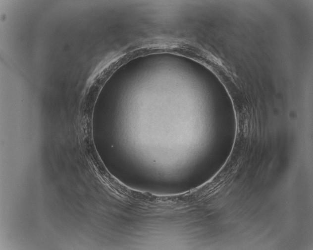 X0000067521448200604071309