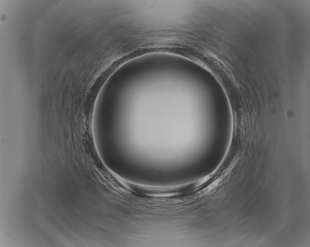 X0000067521449200604071309