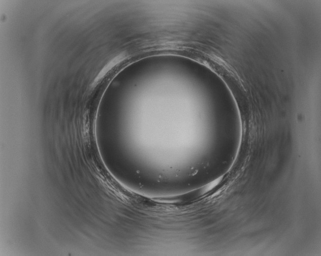 X0000067521450200604071309