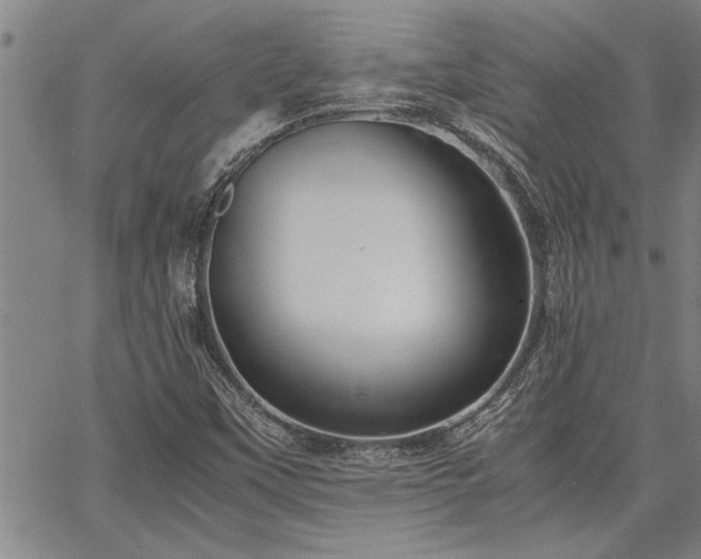 X0000067521451200604071309