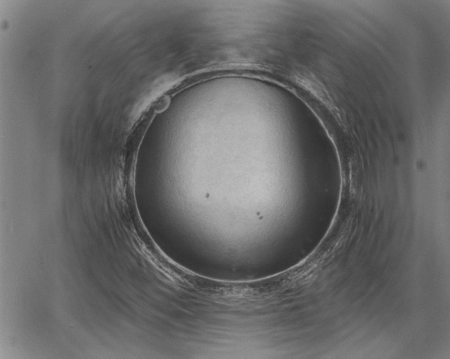 X0000067521452200604071309