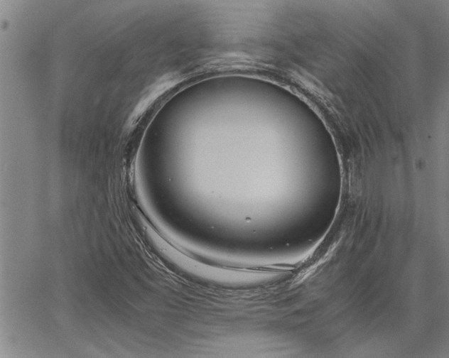 X0000067521453200604071309