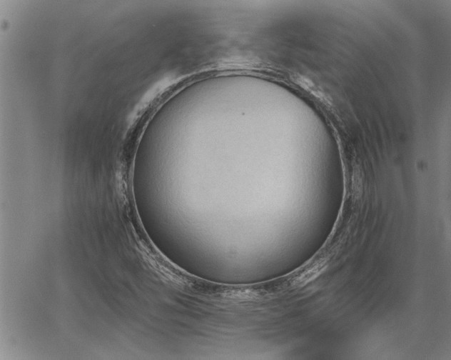 X0000067521454200604071309