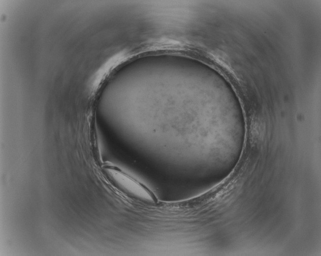 X0000067521455200604071309